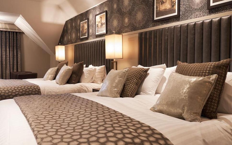 Hotel Tulip Near Delhi Airport Nowe Delhi Pokój zdjęcie